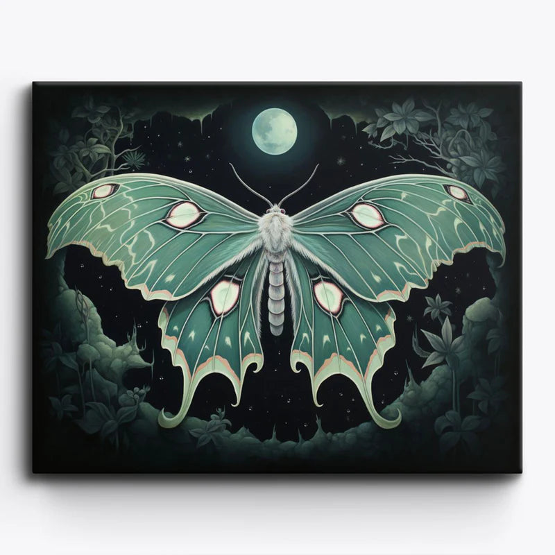 Moonlight Moth